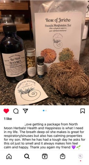 Oxymel - Elderberry - North Moon Herbals